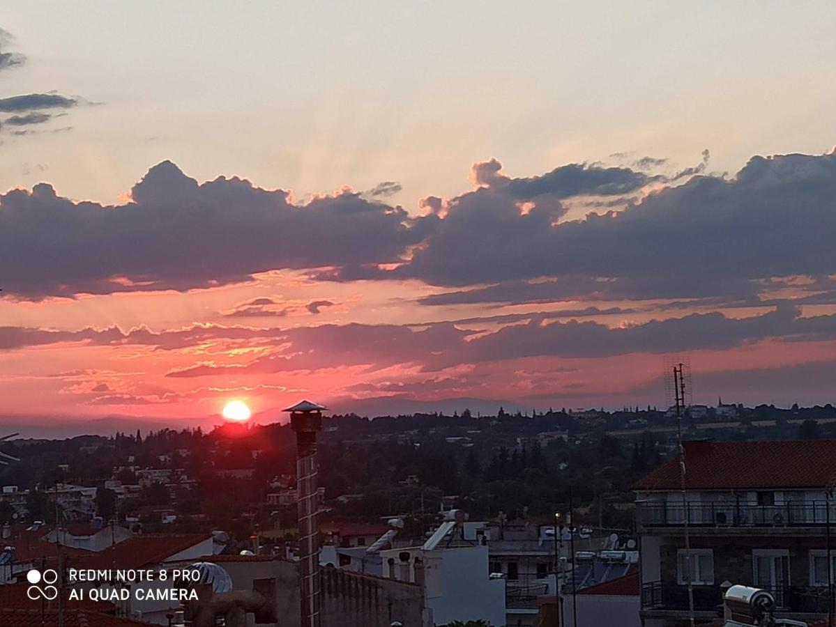 Olga'S Apartments Olympus And Garden View เนอา มิคานิโอนา ภายนอก รูปภาพ