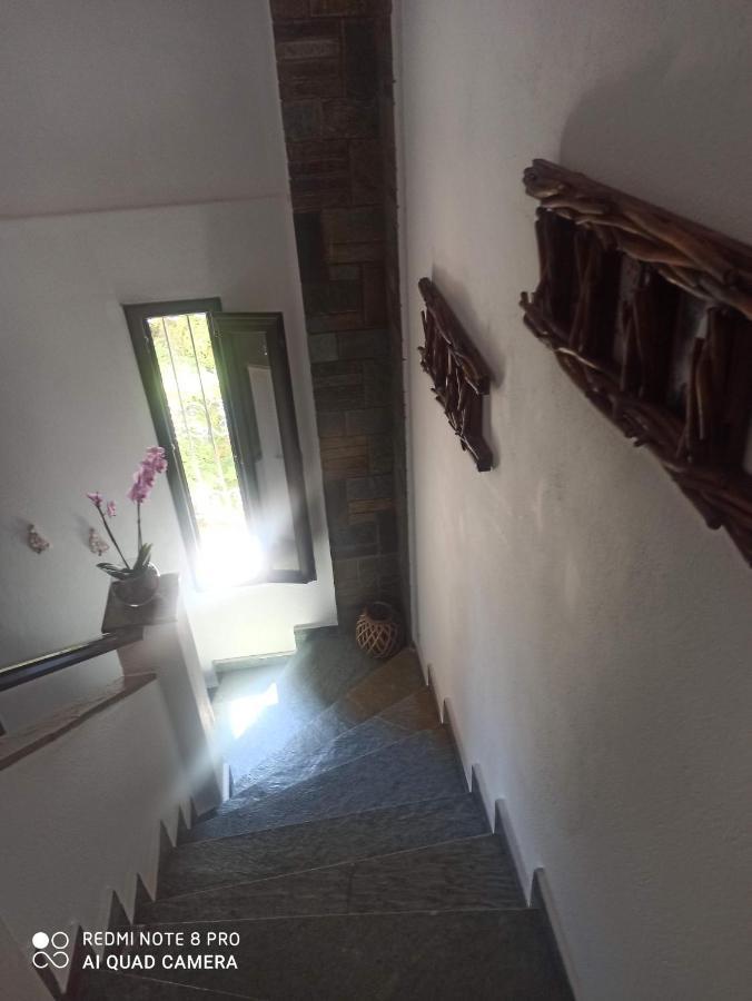 Olga'S Apartments Olympus And Garden View เนอา มิคานิโอนา ภายนอก รูปภาพ